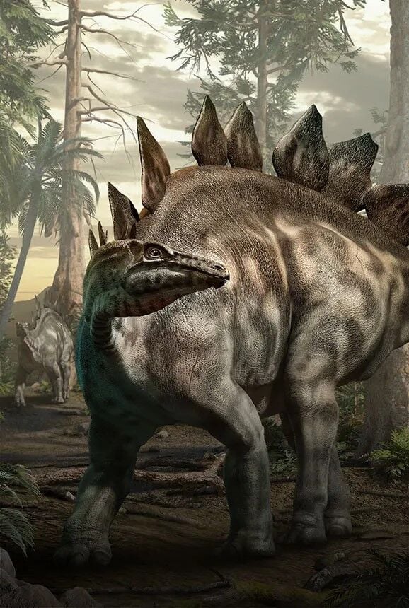 The Stegosaurus is one of over 80 dinosaurs on display at "Dinos Alive" exhibition. (Photo | Dinos Alive)